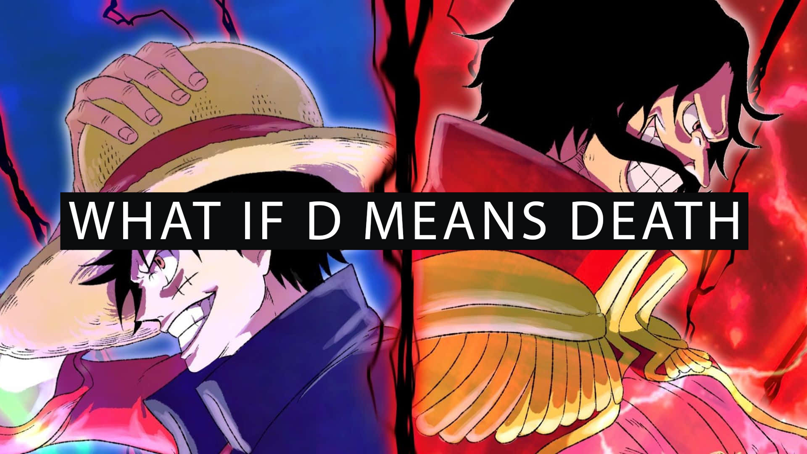 What is the meaning of D in one piece, Will of D